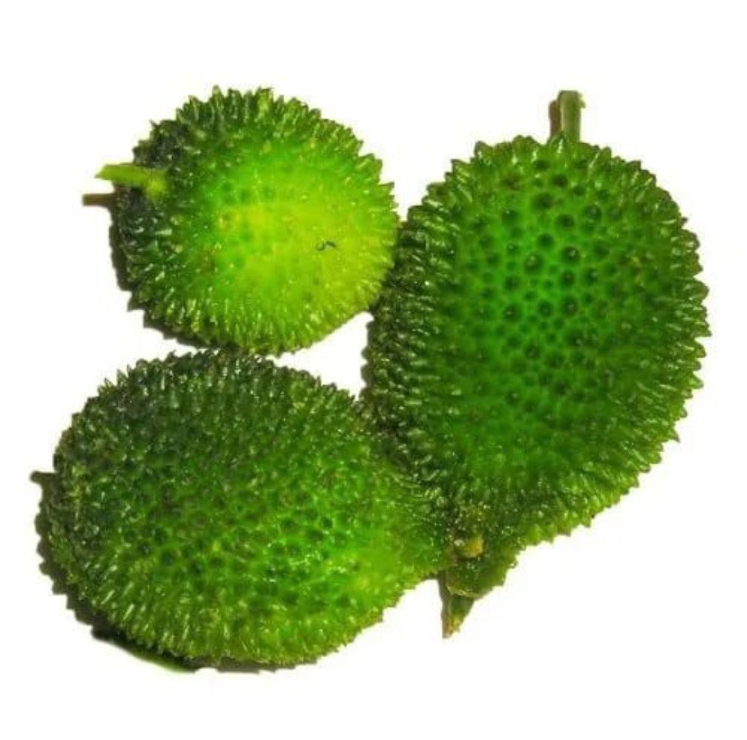 Kantola (250 gm)