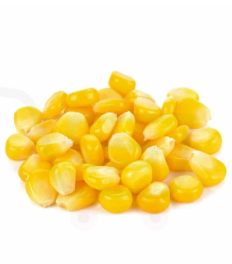 Peeled Corn (500 gm)