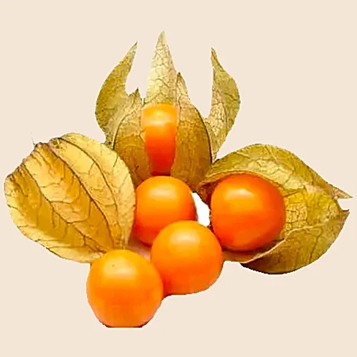 Golden Berry (1 box)