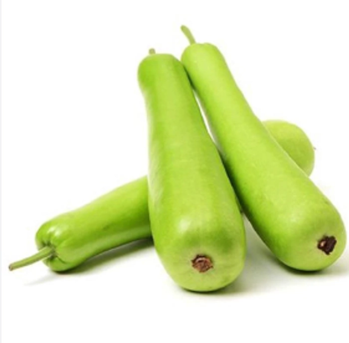 Dudhi (1 pc.)