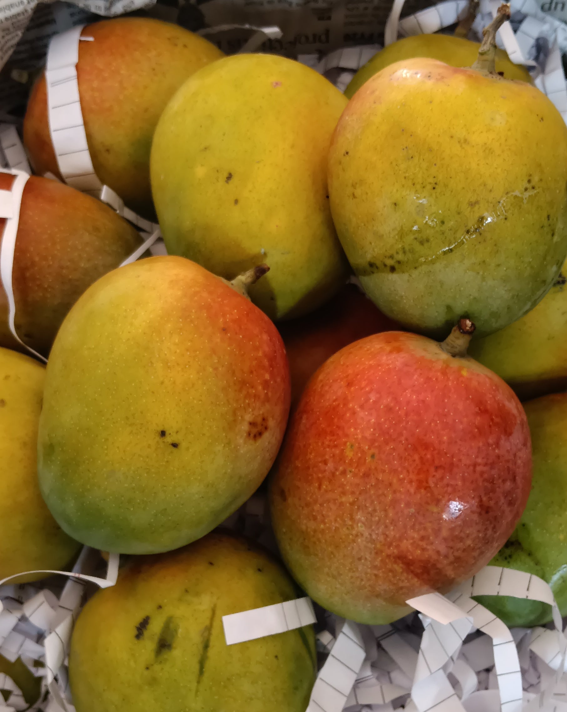 Lalbag Mango (1 kg)