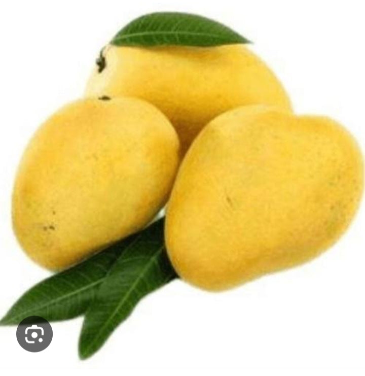 Badami mango (1 kg)
