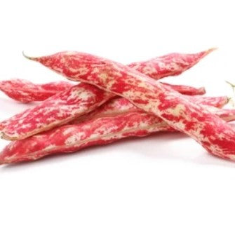 Rajma (250 gm)