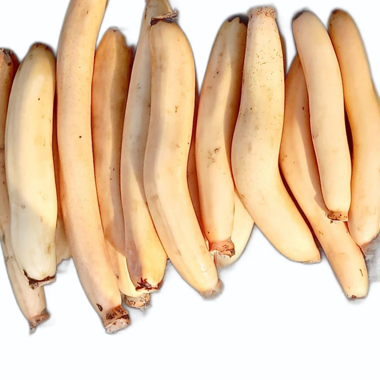 Kamal Kakdi (500 gm)