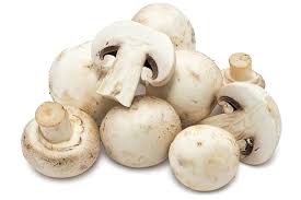 Mushroom (1 pack)
