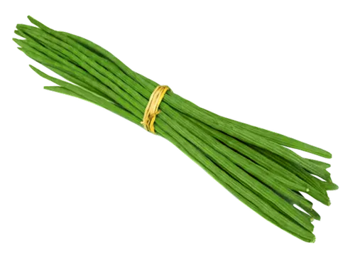 Senga (2 pc.)